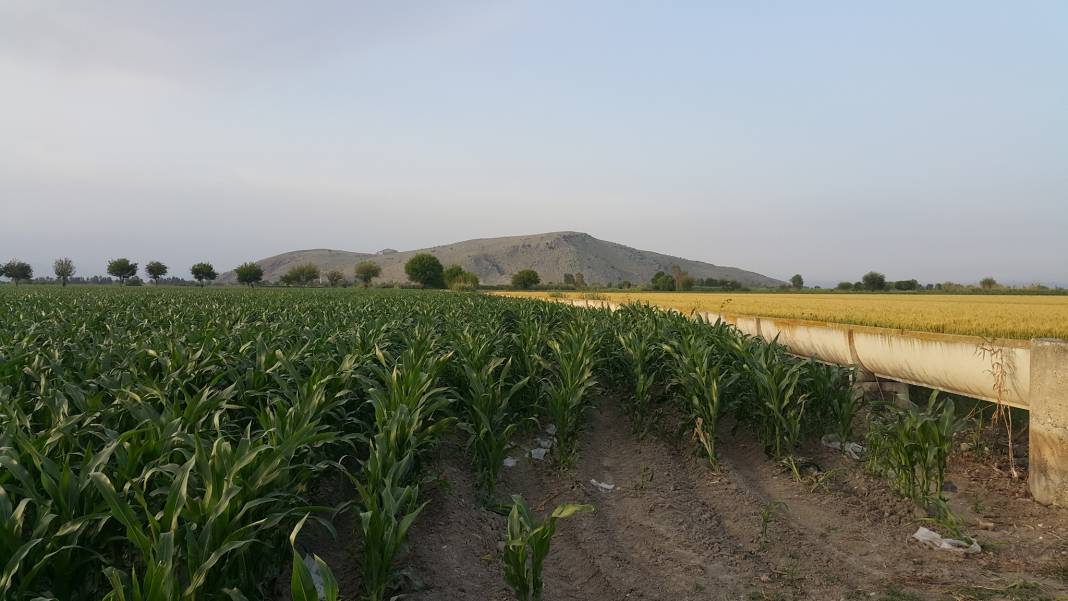 Ceyhan Ağaçlı Köyü Resimleri 5