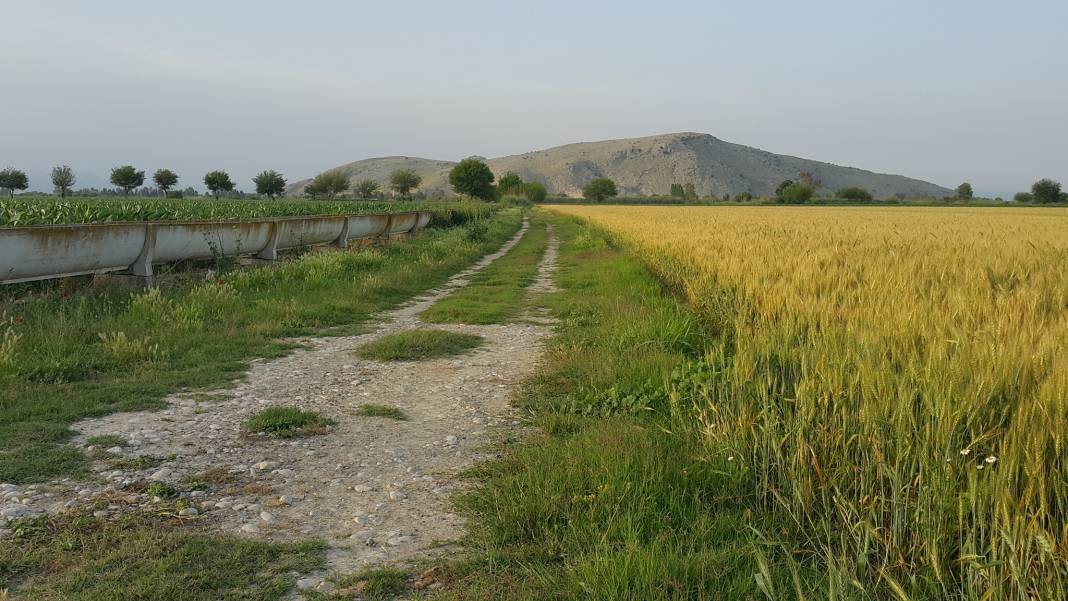 Ceyhan Ağaçlı Köyü Resimleri 6