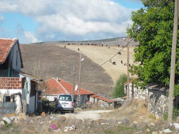 Çerkeş Bedil Köyü Resimleri 5