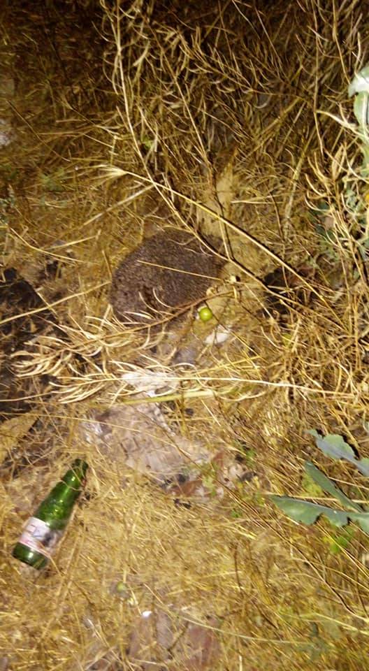 Çerkeş Bozoğlu Köyü Resimleri 6