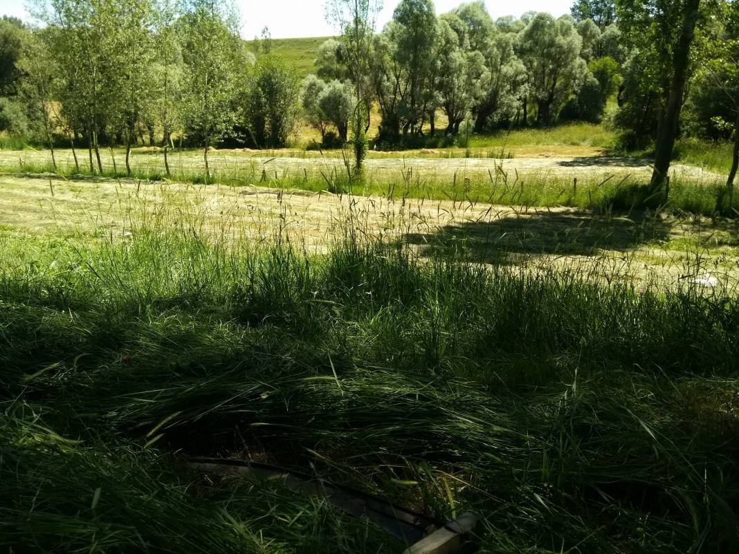 Çerkeş Bozoğlu Köyü Resimleri 8