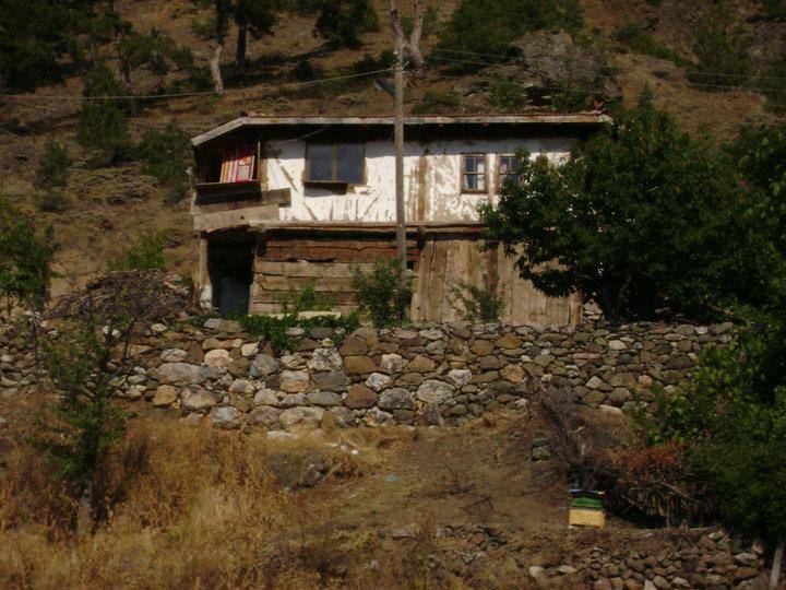 Çerkeş Dodurga Köyü Resimleri 4