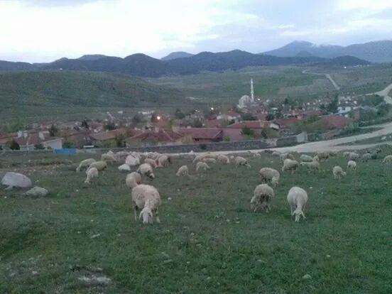 Çerkeş Karga Köyü Resimleri 3