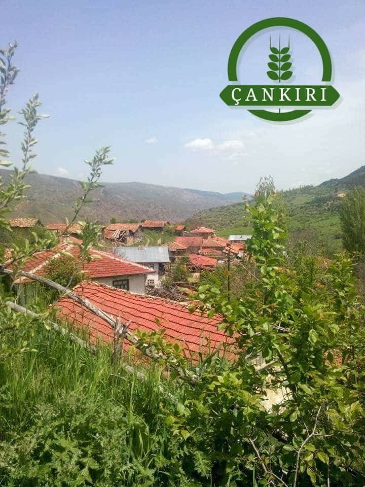 Çerkeş Kuzören Köyü Resimleri 8