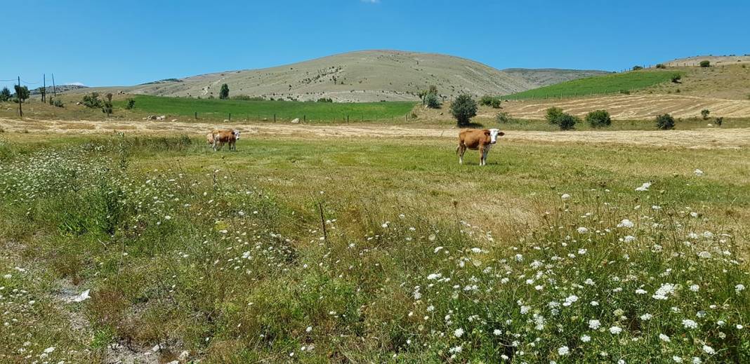 Çerkeş Şeyhdoğan Köyü Resimleri 5