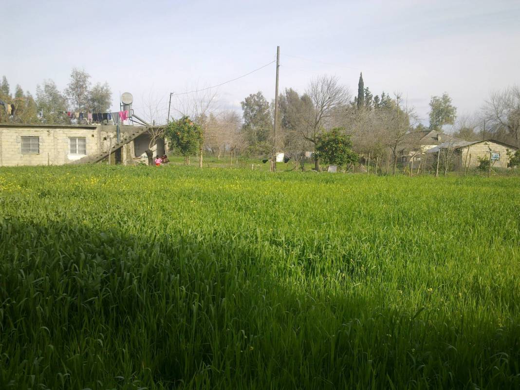 Ceyhan Akdam Köyü Resimleri 1