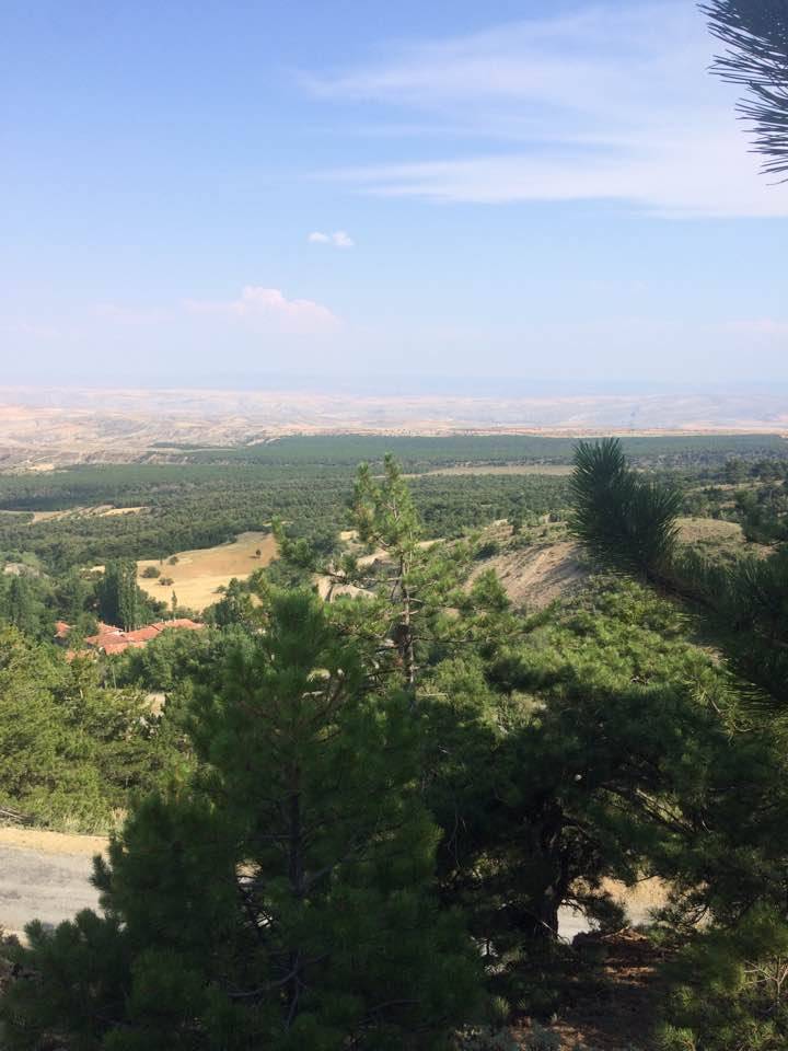 Eldivan Akbulut Köyü Resimleri 2