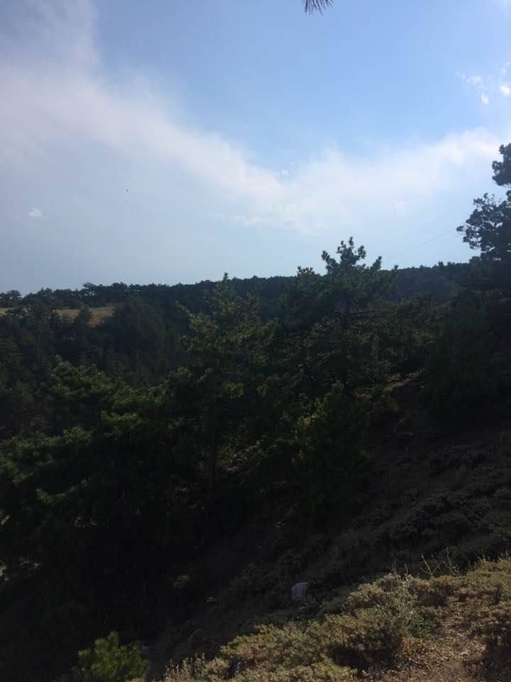 Eldivan Akbulut Köyü Resimleri 3