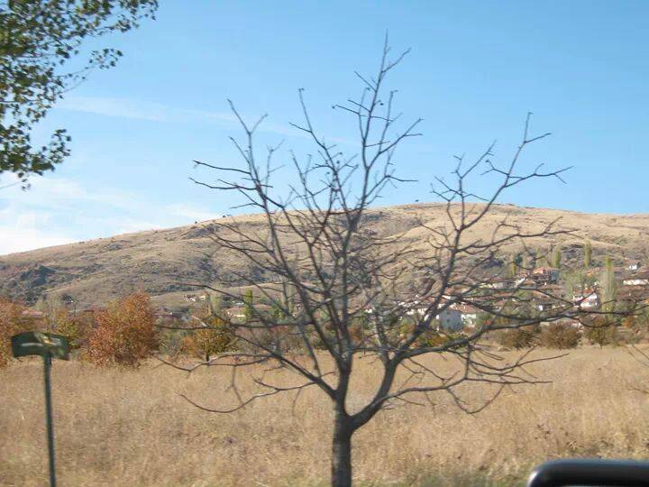 Eldivan Eldivan Köyü Resimleri 3