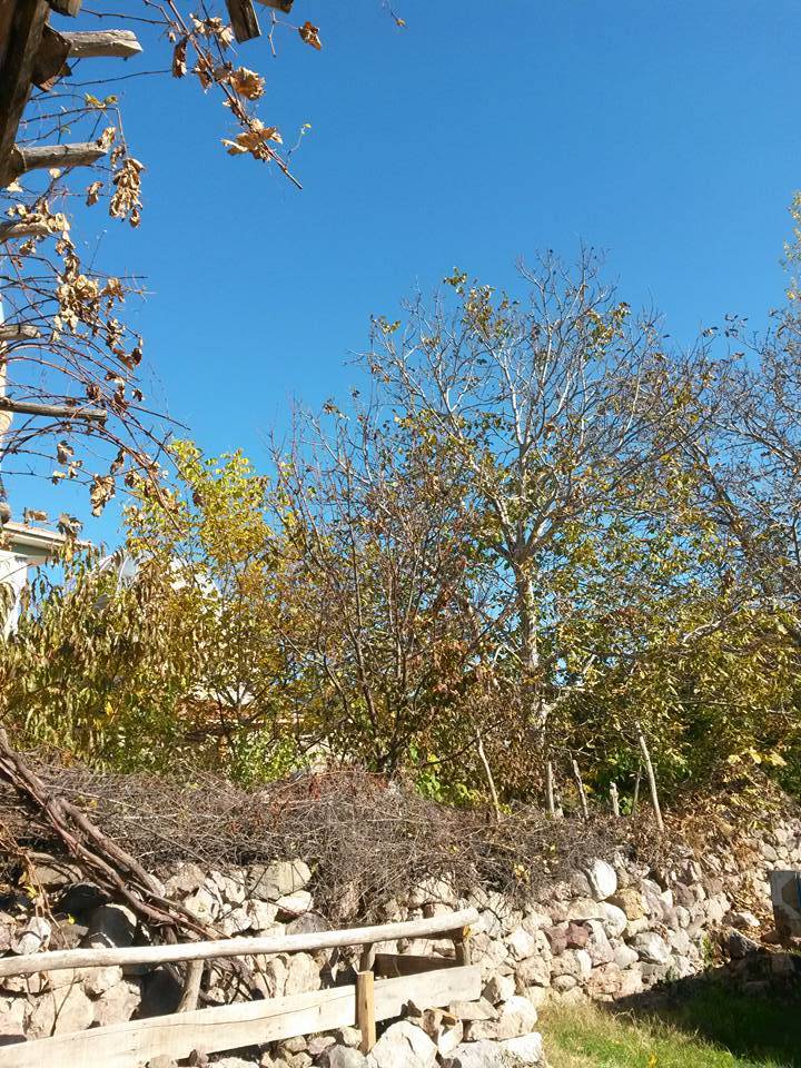 Eldivan Eldivan Köyü Resimleri 4