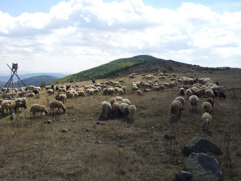 Korgun Ildızım Köyü Resimleri 1