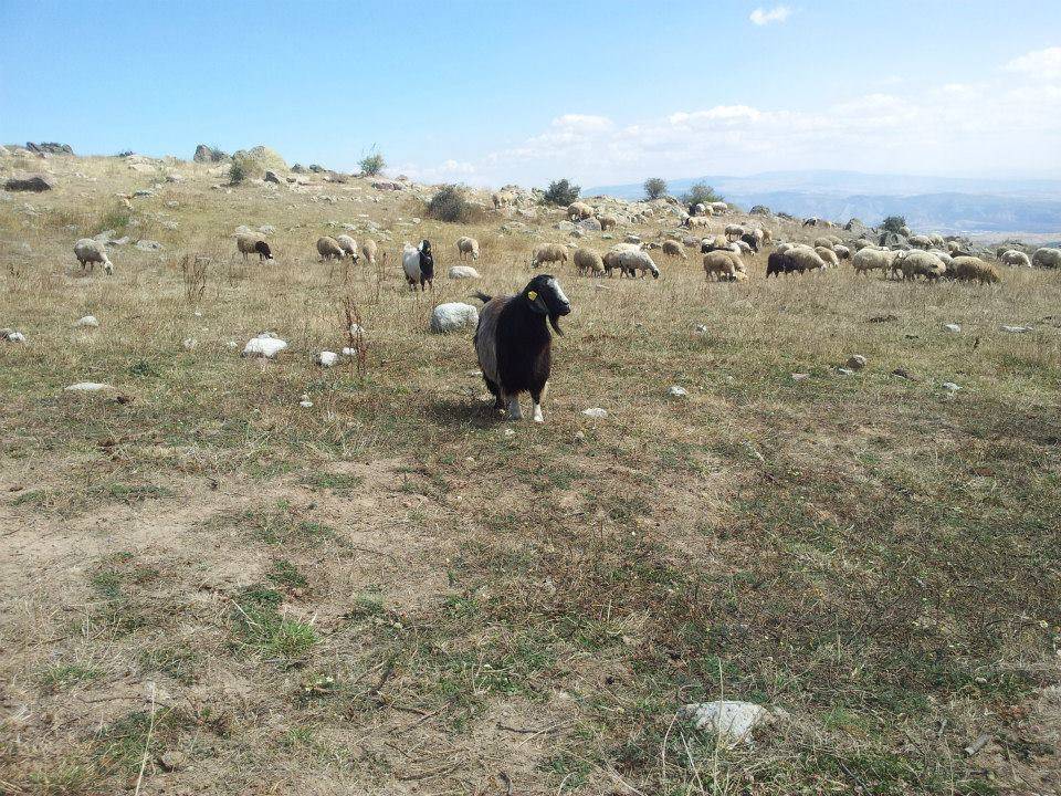 Korgun Ildızım Köyü Resimleri 2