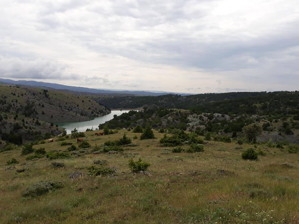 Korgun İkiçam Köyü Resimleri 4