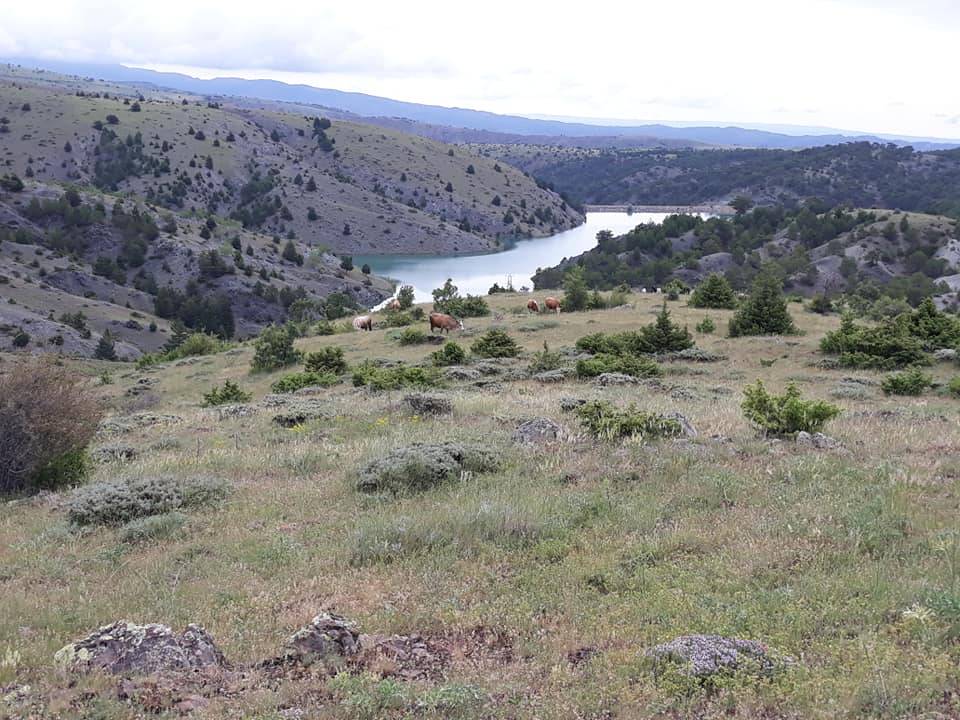 Korgun İkiçam Köyü Resimleri 5