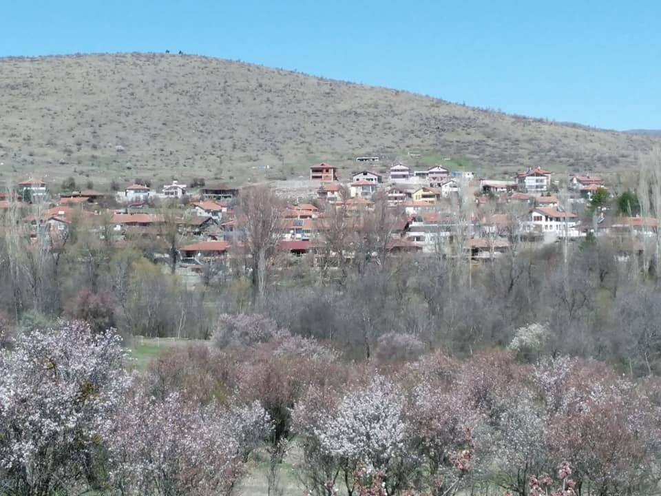 Korgun Kayıçivi Köyü Resimleri 7