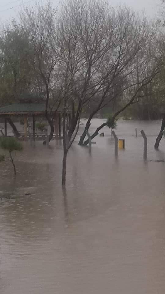 Ceyhan Altıgöz Köyü Resimleri 3