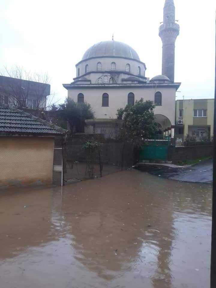 Ceyhan Altıgöz Köyü Resimleri 4