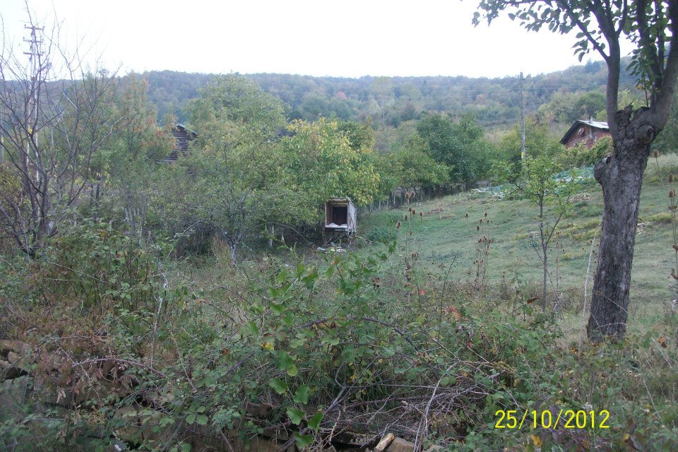 Safranbolu Nebioğlu Köyü Resimleri 11