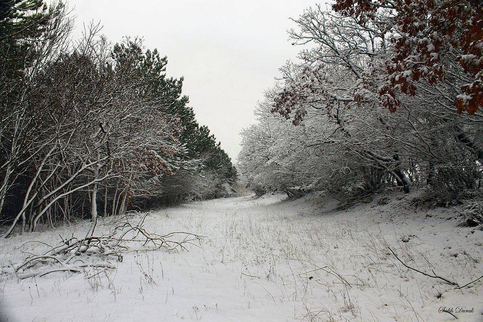 Pınarhisar Akören Köyü Resimleri 6