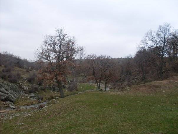 Pınarhisar Hacıfaklı Köyü Resimleri 11