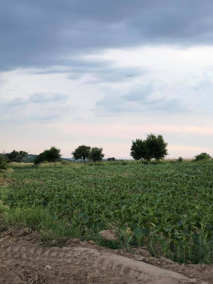 Pınarhisar Hacıfaklı Köyü Resimleri 17