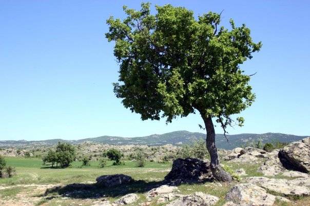 Pınarhisar Hacıfaklı Köyü Resimleri 20