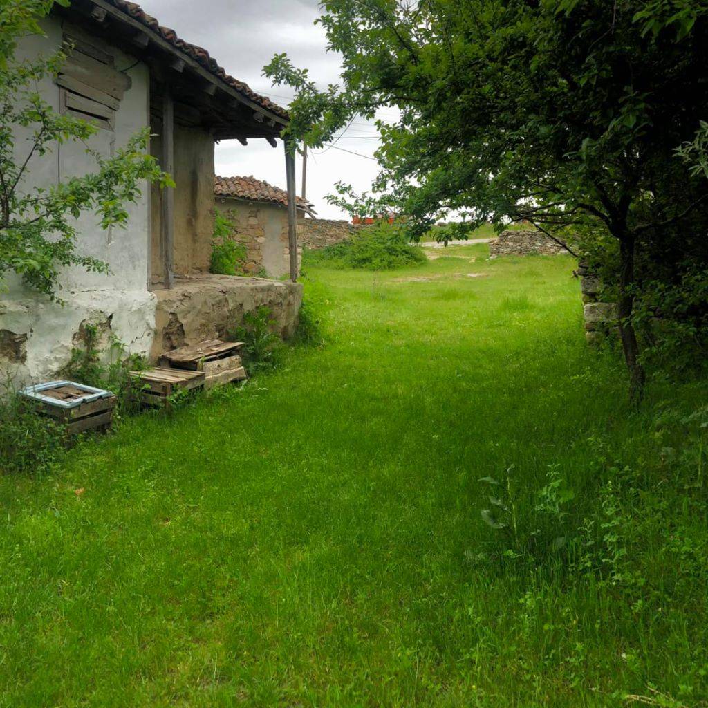 Pınarhisar Hacıfaklı Köyü Resimleri 25