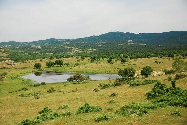 Pınarhisar Hacıfaklı Köyü Resimleri 9