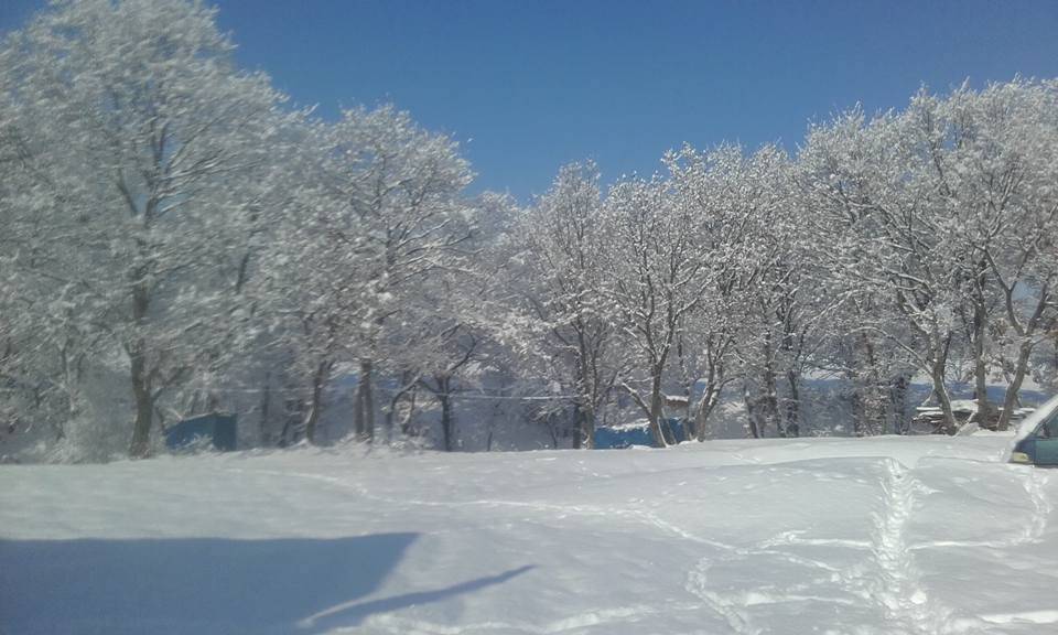 Pınarhisar İslambeyli Köyü Resimleri 5
