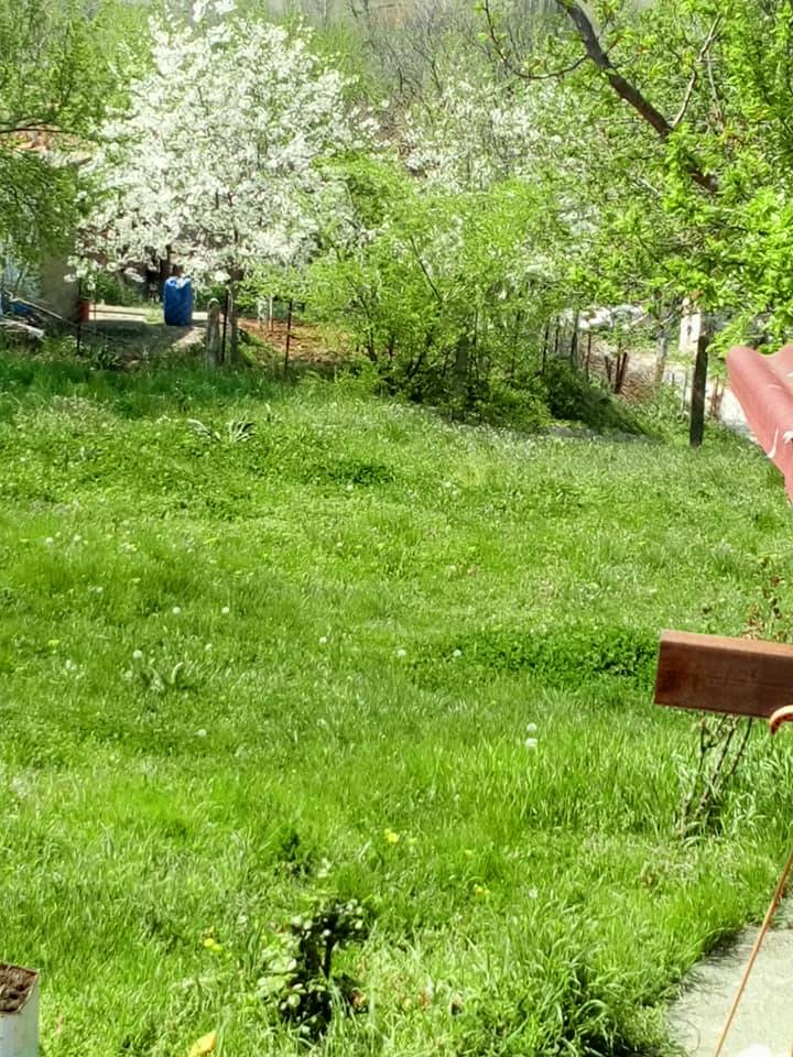 Pınarhisar Tozaklı Köyü Resimleri 7