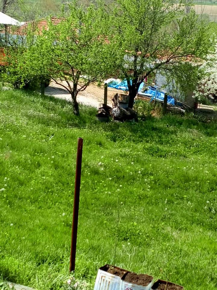 Pınarhisar Tozaklı Köyü Resimleri 8