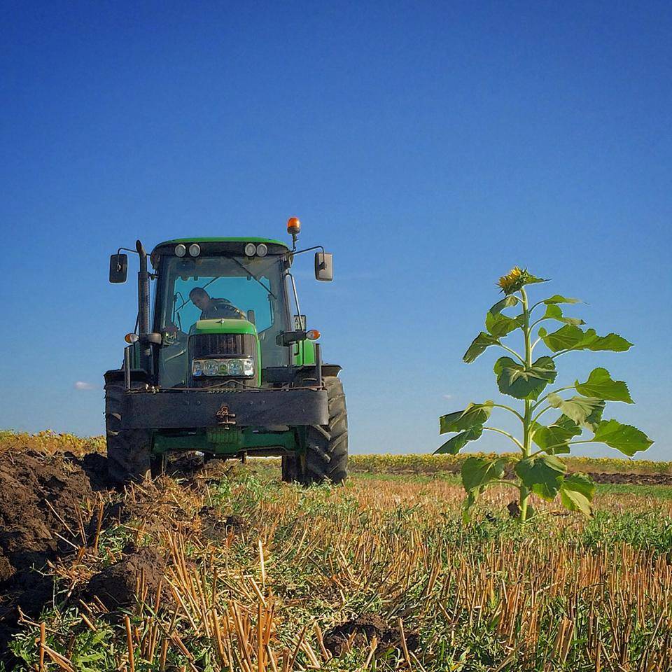 Lüleburgaz Akça Köyü Resimleri 1