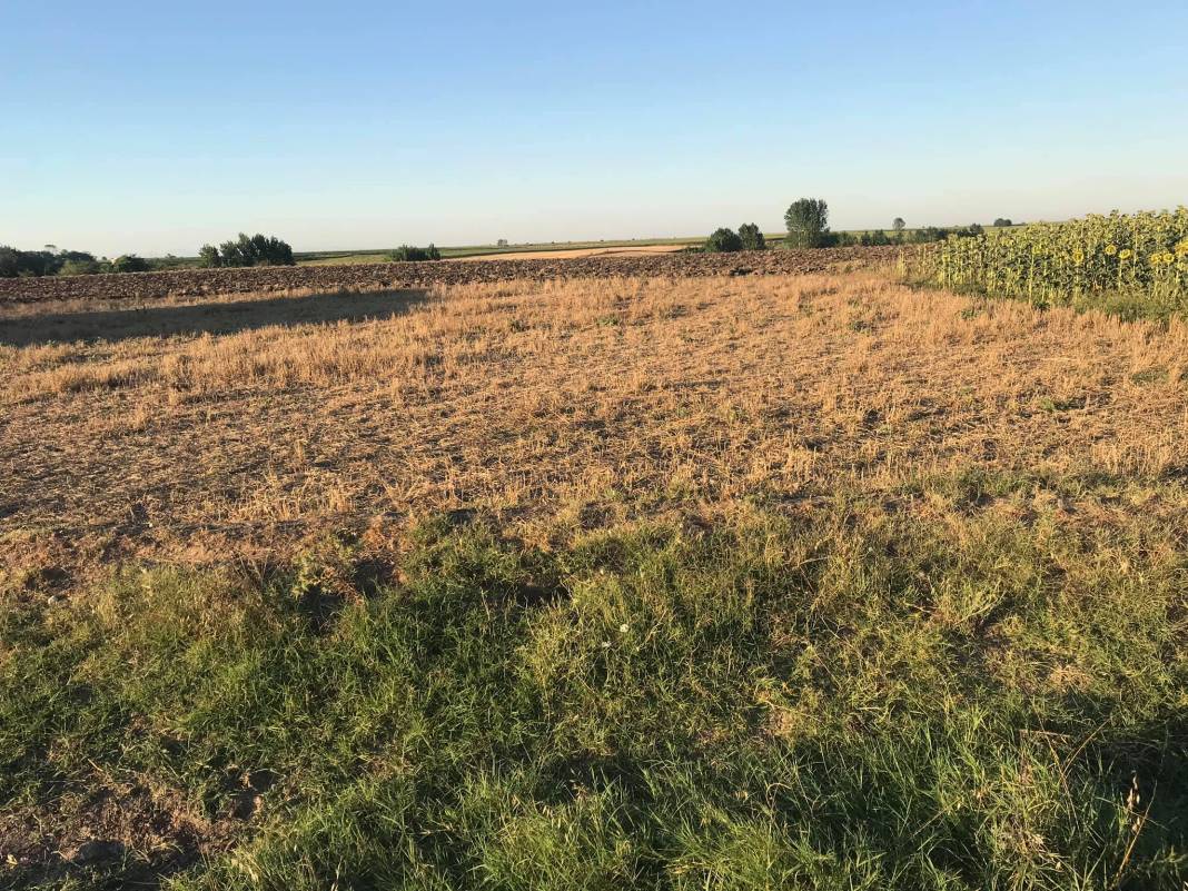 Lüleburgaz Alacaoğlu Köyü Resimleri 10