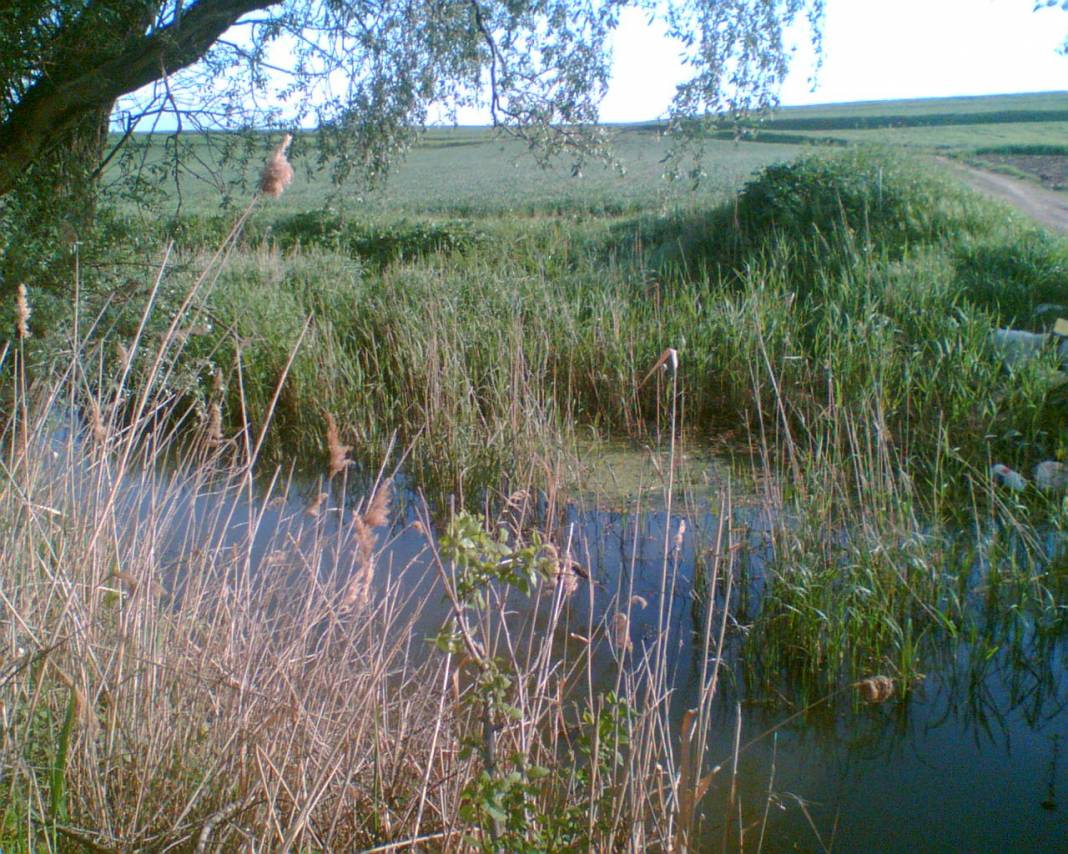 Lüleburgaz Alacaoğlu Köyü Resimleri 7