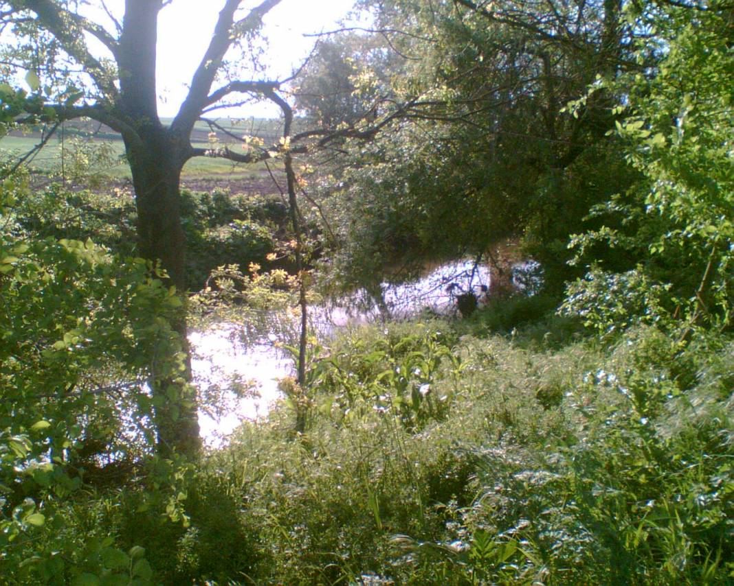 Lüleburgaz Alacaoğlu Köyü Resimleri 8