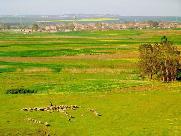 Lüleburgaz Düğüncübaşı Köyü Resimleri 6