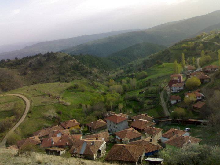 Ilgaz Alıç Köyü Resimleri 1