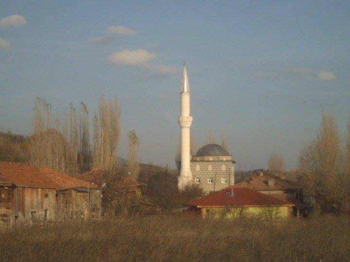 Ilgaz Alıç Köyü Resimleri 3