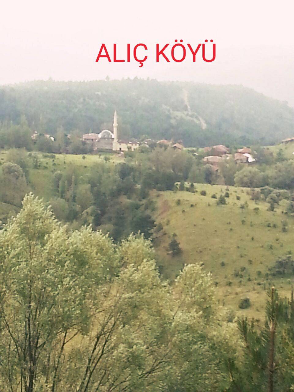 Ilgaz Alıç Köyü Resimleri 5