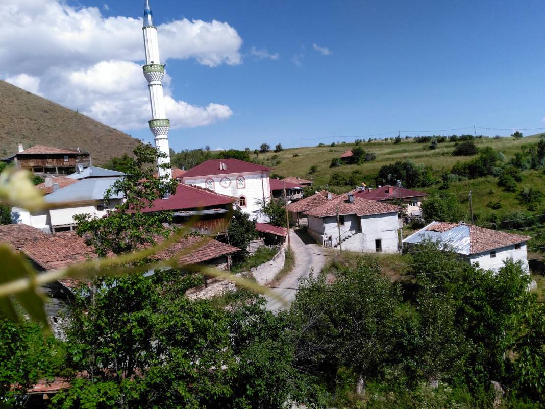 Ilgaz Alıç Köyü Resimleri 9
