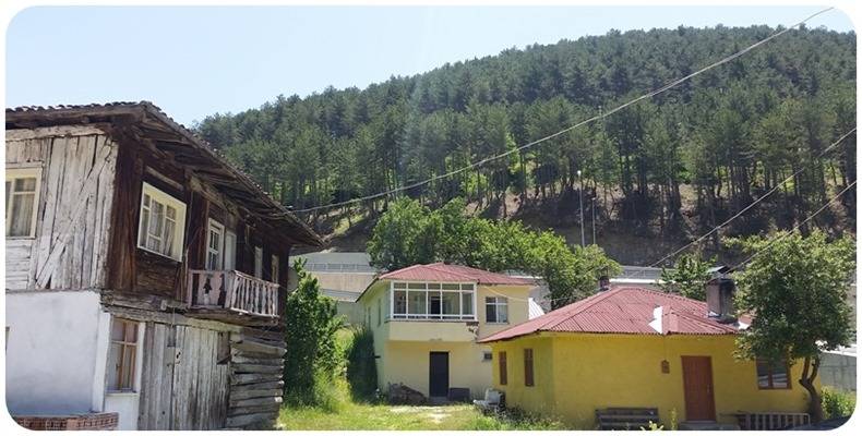 Ilgaz Alpagut Köyü Resimleri 6