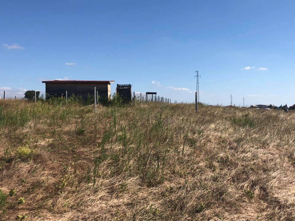 Lüleburgaz Hamzabey Köyü Resimleri 2