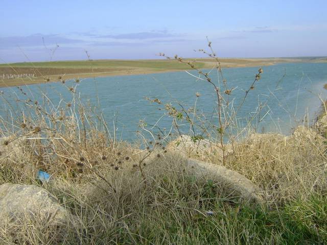 Lüleburgaz Sarıcaali Köyü Resimleri 6