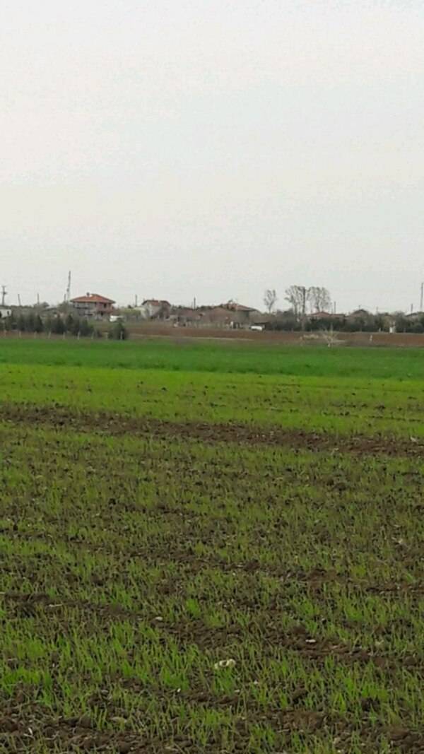 Lüleburgaz Yenitaşlı Köyü Resimleri 2