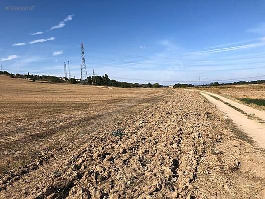 Lüleburgaz Yenitaşlı Köyü Resimleri 3