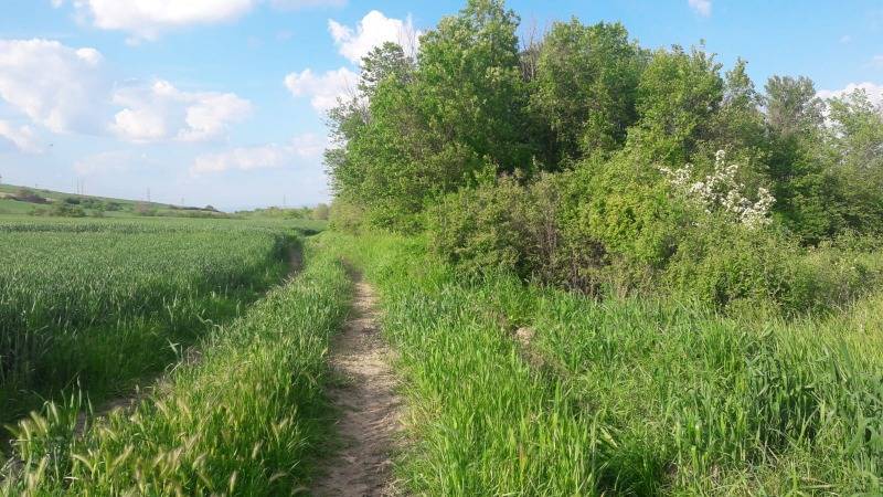 Lüleburgaz Yenitaşlı Köyü Resimleri 4