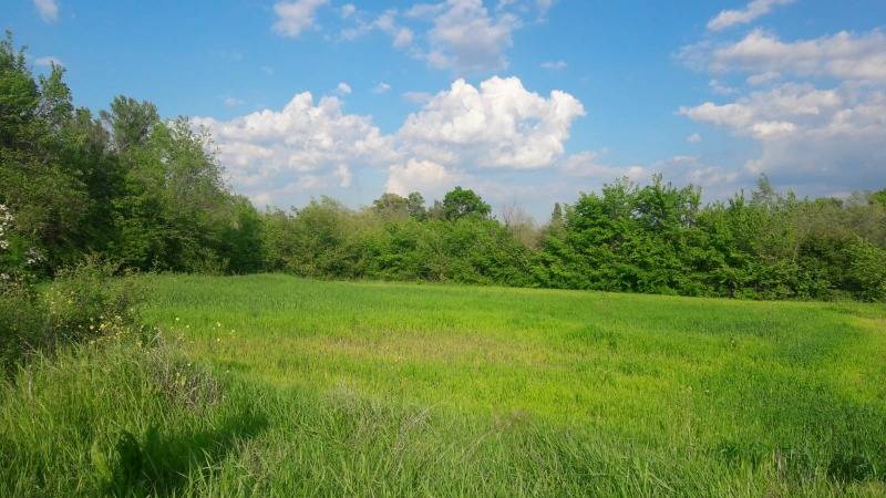 Lüleburgaz Yenitaşlı Köyü Resimleri 5