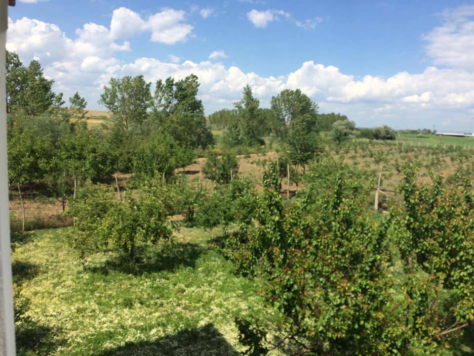 Lüleburgaz Evrensekiz Beldesi Resimleri 14