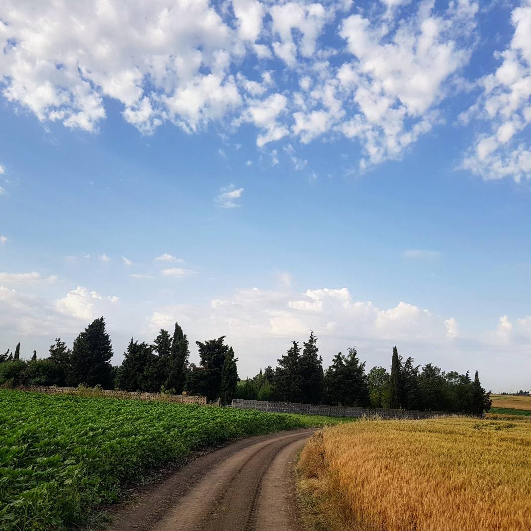 Lüleburgaz Evrensekiz Beldesi Resimleri 15