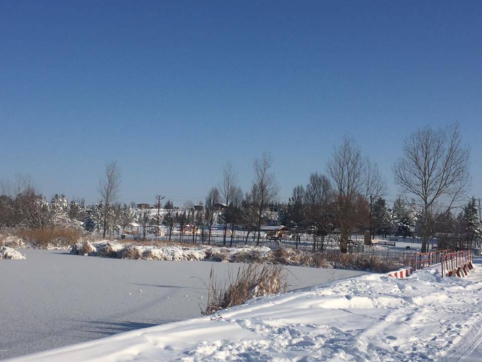 Lüleburgaz Evrensekiz Beldesi Resimleri 7